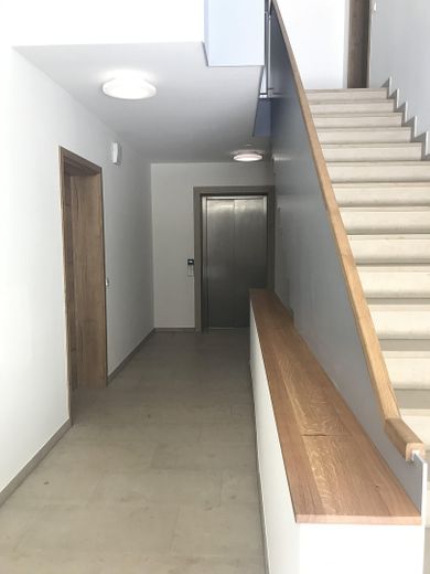 Am Grüngürtel von Frankfurt - 3 Zimmerwohnung - direkt am Wald - Dreieich Buchschlag – Hausflur