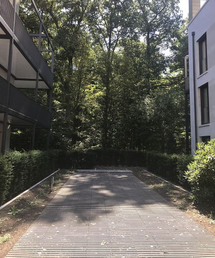 Am Grüngürtel von Frankfurt - 3 Zimmerwohnung - direkt am Wald - Dreieich Buchschlag – Zugang zum Wald