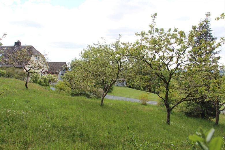 Idyllisch Wohnen - freier Blick ins Grüne und viel Raum für Gestaltung und Freizeit – Gartenansicht
