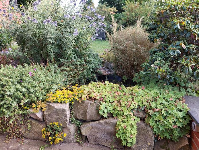 Terrassenbeet mit Teich