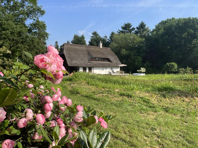 Maison de rêve dans un emplacement de choix ! Au calme, en pleine nature, étang de baignade – Photo 2