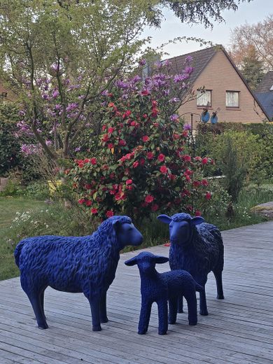 Freistehendes Einfamilienhaus mit Südgarten in ruhiger Lage von Hamburg-Volksdorf – Garten