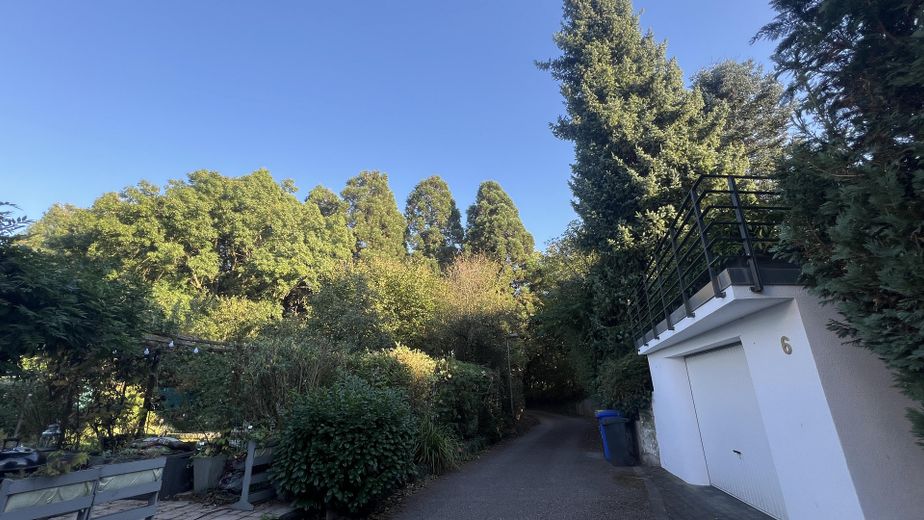 एर्फ़्टश्टाट में अनोखा: शानदार बगीचे वाला विला – Sackgasse/Blick auf Mammutwald