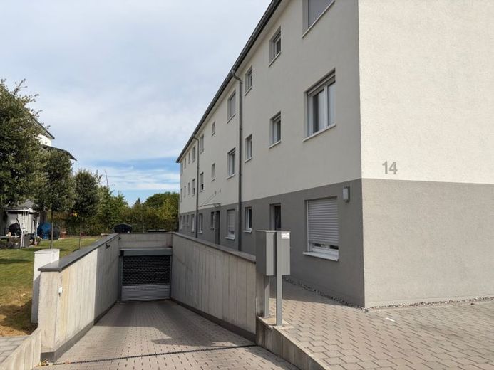 Modern. Effizient. Neuwertig – barrierefreie Erdgeschosswohnung in Großniedesheim – Foto 1