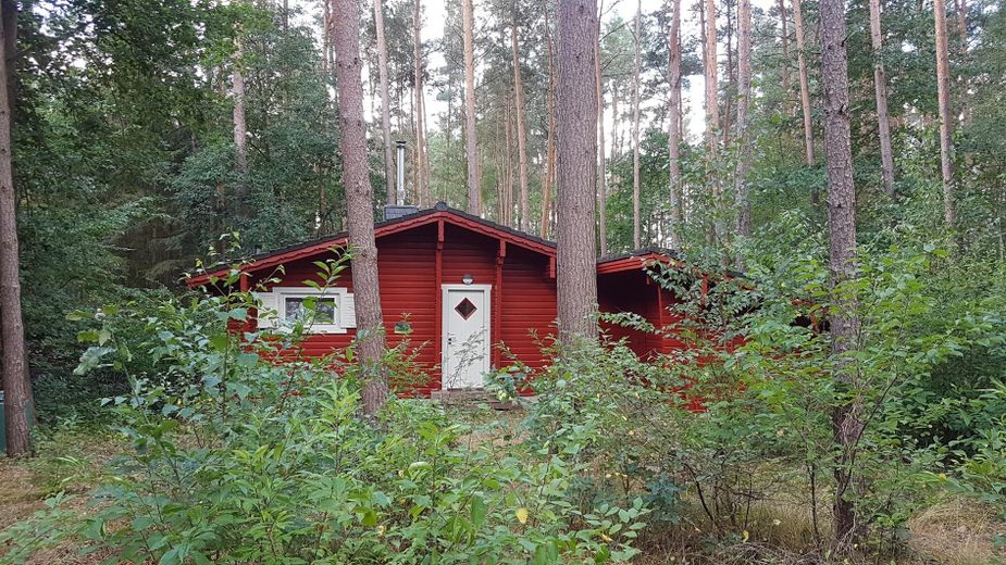 Deux maisons en rondins dans la forêt, location de vacances et habitation dans la réserve de biosphère de l’Elbtalaue – Eingang rotes Haus