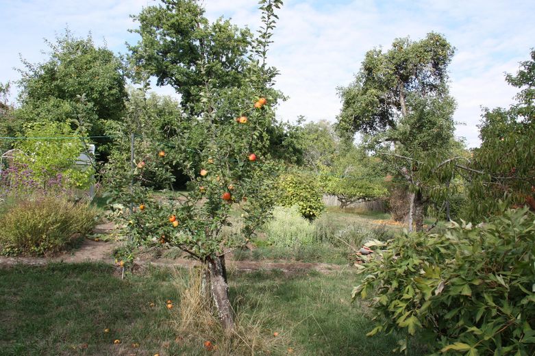 Büyük bahçeli ve ayrı girişli daireli A Plus enerji kimlik belgeli kır evi – Garten