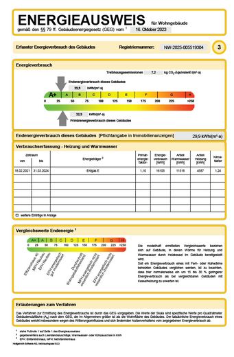 Auszug Energieausweis