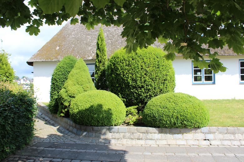 Seitenansicht