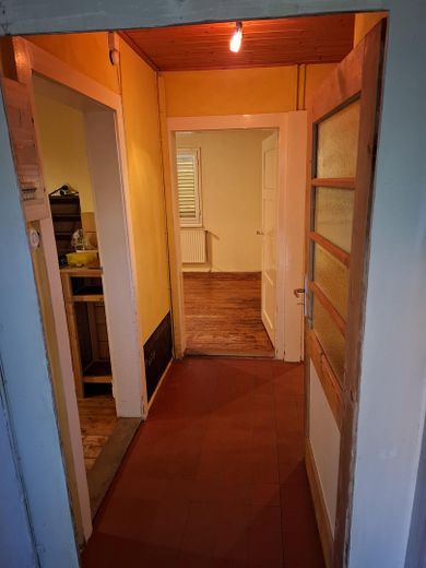 Nbg-Gaismannshof’ta inci - Tek ailelik ev (veya 3 odalı mutfak-banyo zemin kat + 2 odalı mutfak-banyo çatı katı) ve büyük, sakin bahçe – Flur Richtung Küche/Wohnzimmer