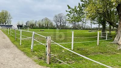 ZAGRODA PRZY OŚRODKU JEŹDZIECKIM – 1745641312_038010.jpg