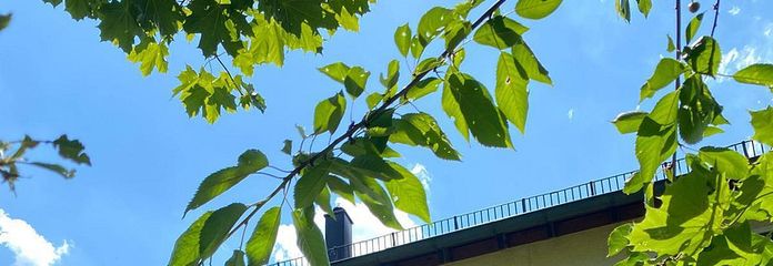 Reiheneckaus in ruhiger und sonniger Rand und Aussichtslage in Kuchen mit eigenem Garten – Eingangsbereich