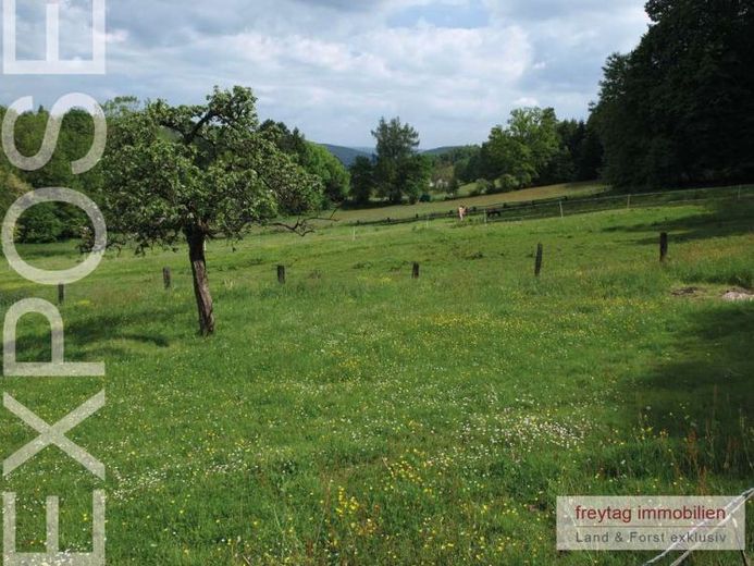 Amelith : vie à la campagne dans le Hochsolling : poules, canards, oies, chevaux – Foto 1