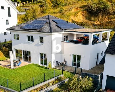 CASA FAMILIAR PREMIUM CON INGRESOS ADICIONALES – 1783376089_4e4f695.jpg