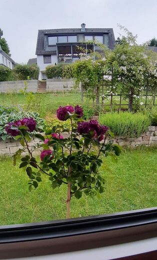 Jagdhausweg 12-Gartenansicht