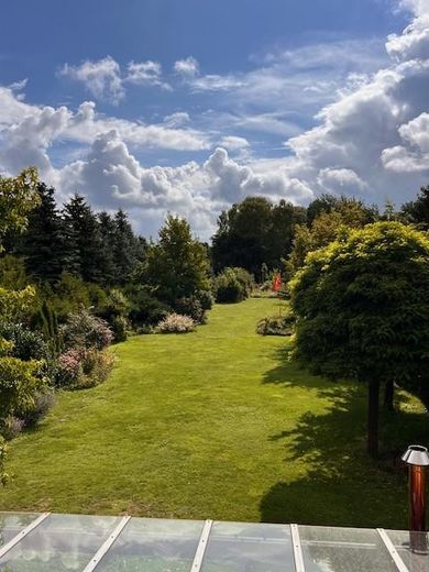 Blick in den Garten