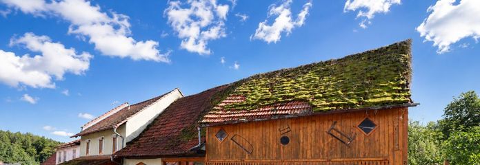 Keine direkten Nachbarn links und rechts