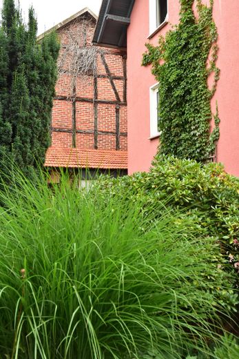 Ein Hof mit Geschichte – und Raum für neue Ideen – Gartenanlage Sicht Scheune