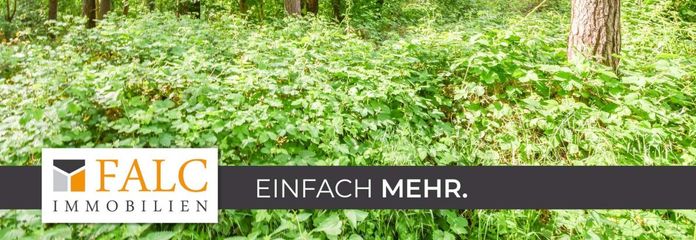 Naturbelassener Waldbereich