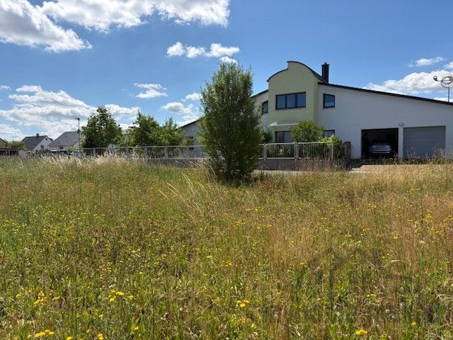 BG Langenzenn IMG_0515