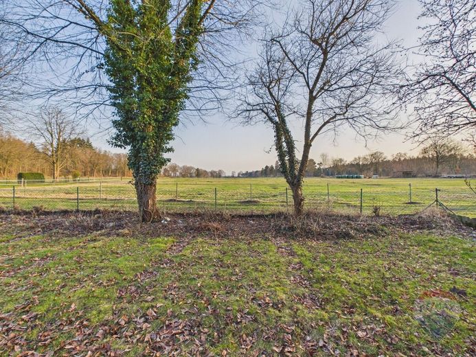 Ländlich wohnen, individuell gestalten - Haus auf großem Grundstück in Bark – Feldrandblick vom Garten aus