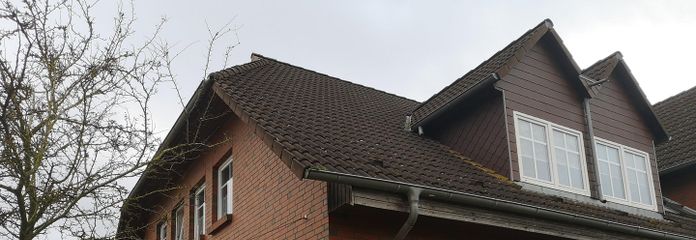 li: Eingang und Küchenfenster