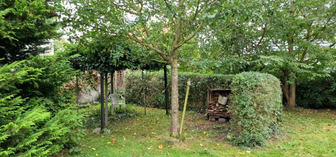 Bild5