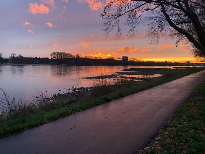 Eine Wohlfühloase direkt am Rhein – Foto 2
