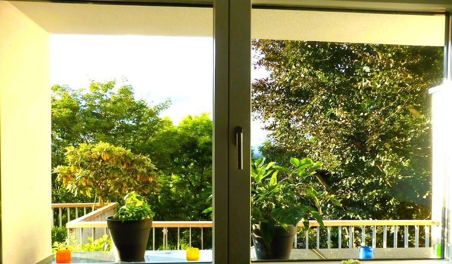 Ausblick aus der Küche