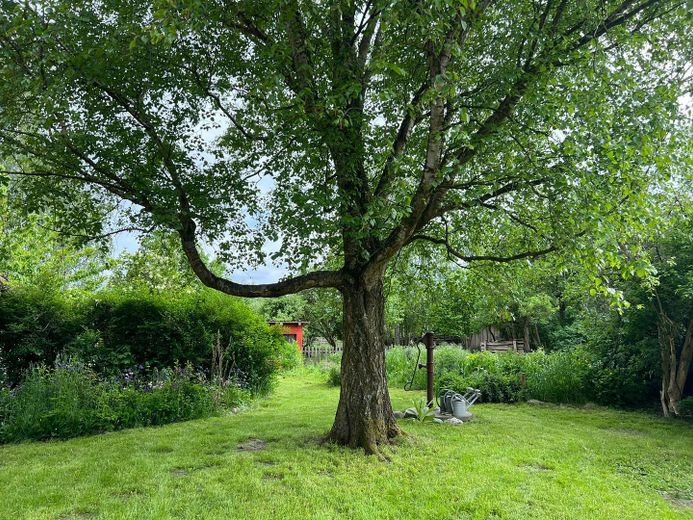 21 Hektar Paradies – Häuser, edle Nebengebäude, Acker, Wiesen, Wald und Wasser – Foto 20