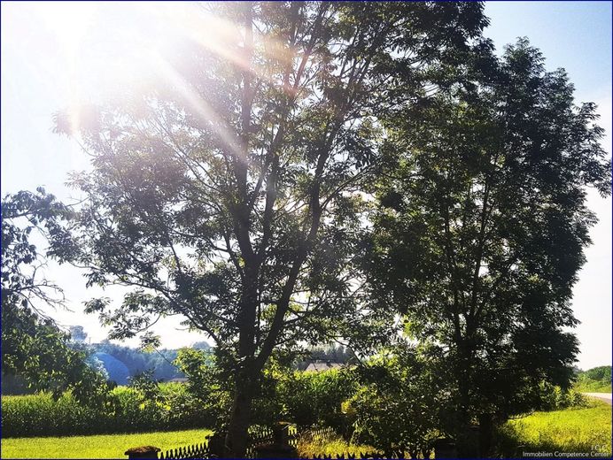 ***   FESTPREIS: 250.000,- EUR   ***
Liebhaber-Sacherl in Alleinlage - ca. 6.500 m² Grund 
am Mühl-/ Prienbach - südlich von Stubenberg – Der magische Baum auf dem großen und sonnigen Grundstück