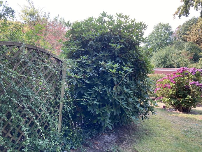 Blick von der Terrasse