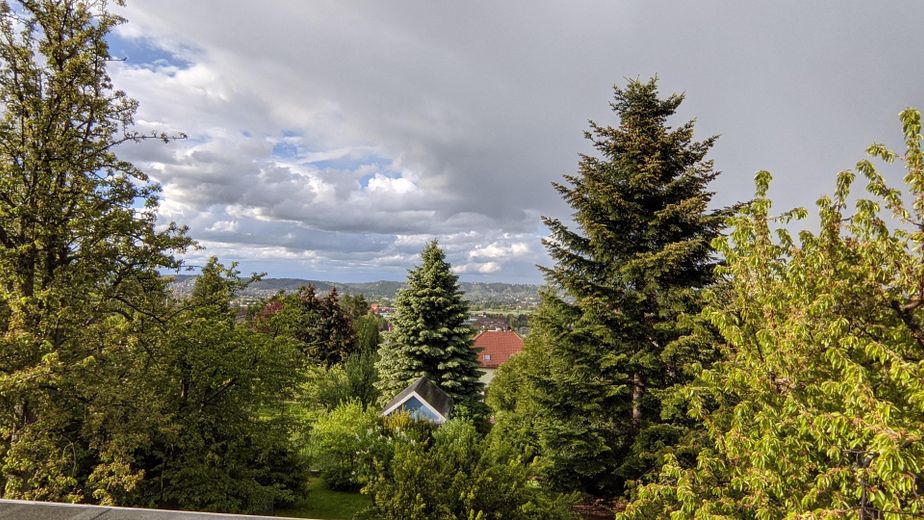 Ausblick ins Grüne