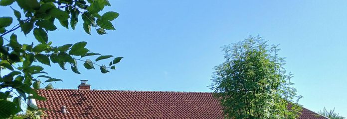 **PROVISIONSFREI** Wohlfühlen im Original Schwedenhaus (KfW40) – Schwedenhaus
