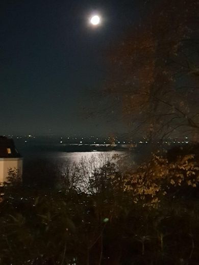 Wohnen, wo Hamburg zur Elbe hinabsteigt – Mondaufgang über der Elbe