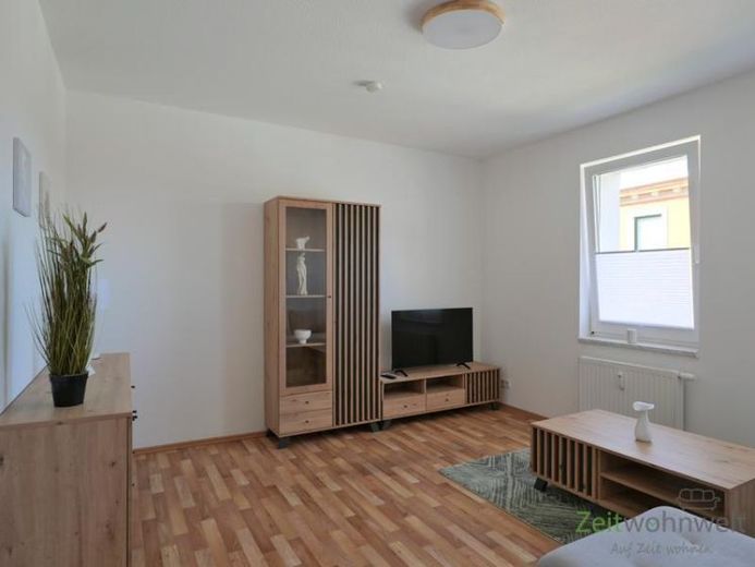 (EF1424_M) Halle: Trotha, neu möblierte 2-Zimmer-Wohnung, Garten am Haus, Waschmaschine vorhanden – Foto 1