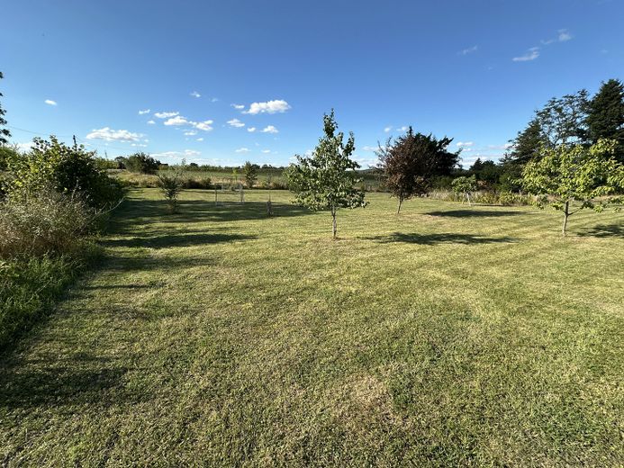 Dream property with house in the Uckermark – right in the biosphere reserve, water and forest – Vordere große Wiese