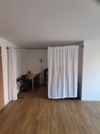 Wohn/Schlaf/Esszimmer