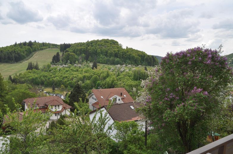 Charmantes Einfamilienhaus in idyllischer Lage, provisionsfrei ! – Aussicht vom Balkon