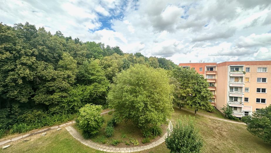 Helle 3-Zimmer-Wohnung am Waldrand – Blick aus dem Schlafzimmer