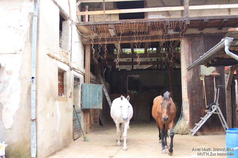 ein Teil der derzeitigen Bewoh