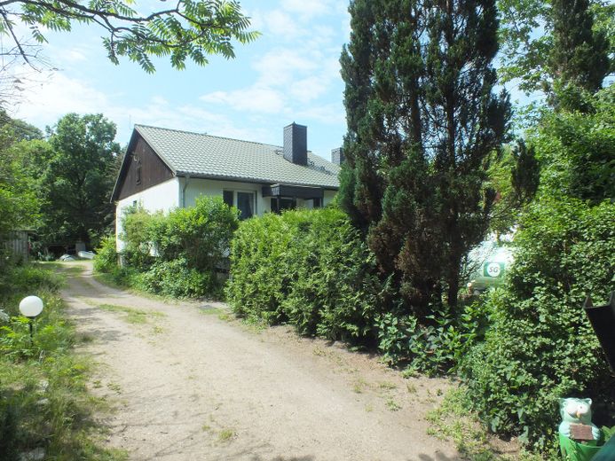 Naturidyll mit riesigem Grundstück – Provisionsfrei von Privat! – Grundstückszufahrt