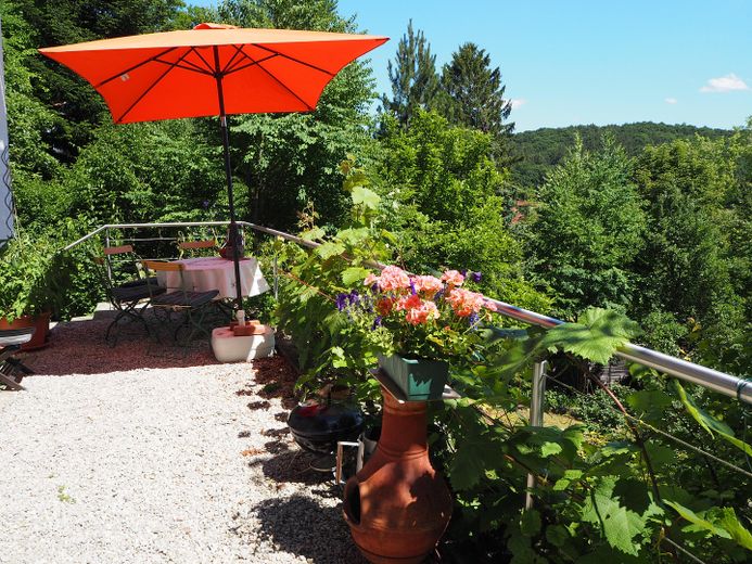 Beautiful single-family house with a very large garden – Terrasse