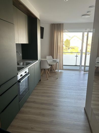 Möbliertes Apartment für Pendler, Fachkräfte, Führungskräfte – Küche mit Spülmaschine