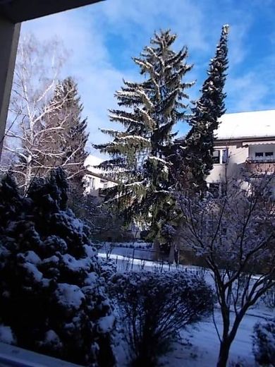 RESERVIERT  Schäfersee-Nähe! Bezugsfrei, lebendig – Winter vor dem Haus