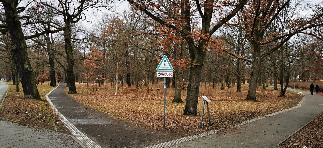 Park direkt gegenüber