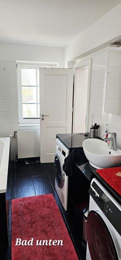 Tu sueño de tener un caballo en casa se hace realidad – Bad EG