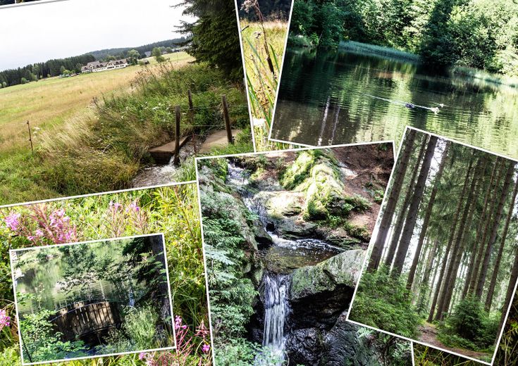 Wolnostojący dom jednorodzinny w idyllicznej lokalizacji – Foto 25
