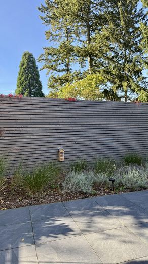 Sichtschutz mit Bepflanzung