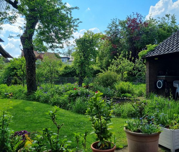 Blick in den Garten