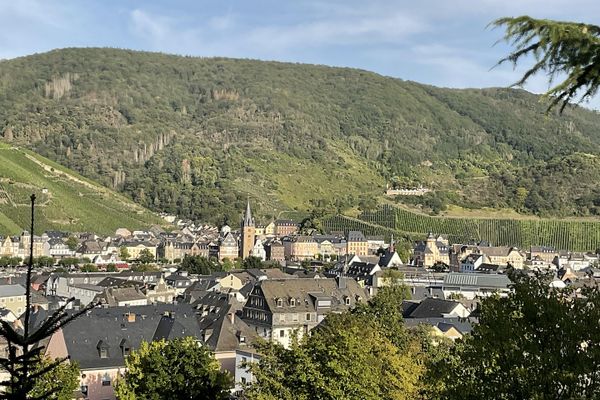 Terreni attraenti in posizione esclusiva in altura: vista panoramica sulla città di Bernkastel